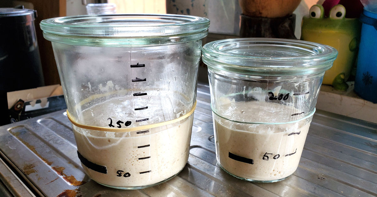 Sourdough Starter Jar Geometry